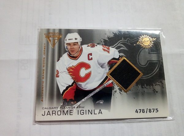 Iginla, Jarome - NHL 2004