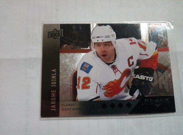 Iginla, Jarome - NHL 2009-10